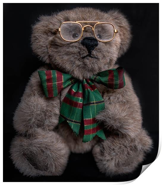 Gorgeous Brown Teddy Bear with gold glasses and a  Print by Maggie Bajada