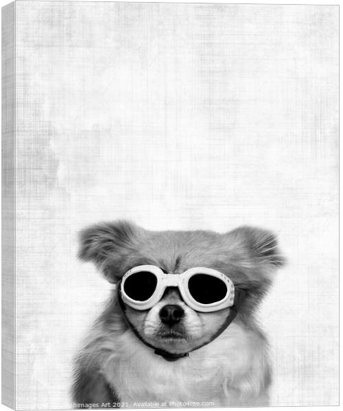 Funny dog with goggles, black and white Canvas Print by Delphimages Art