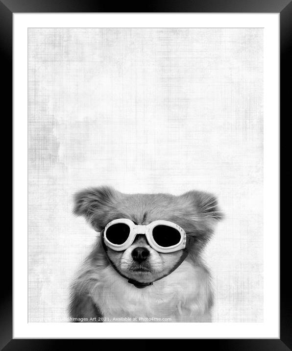Funny dog with goggles, black and white Framed Mounted Print by Delphimages Art