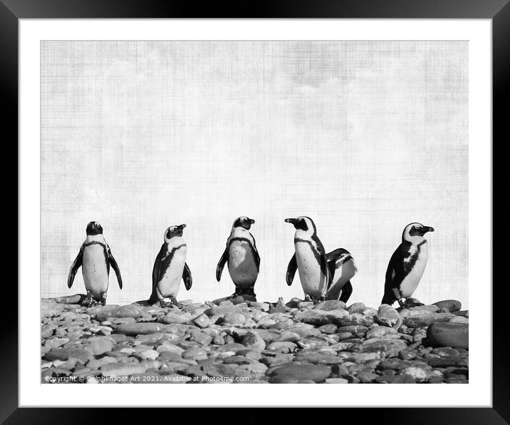 Row of Penguins. Funny animals, black and white Framed Mounted Print by Delphimages Art