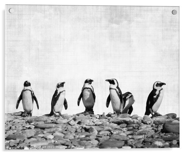 Row of Penguins. Funny animals, black and white Acrylic by Delphimages Art