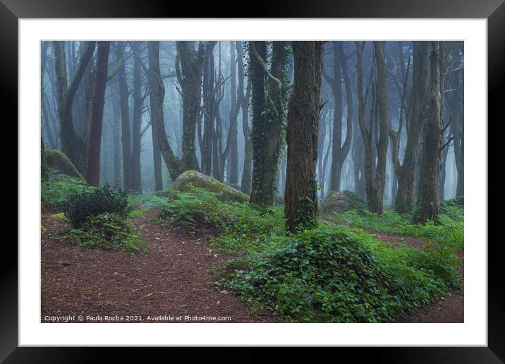 Woodland scenery with fog Framed Mounted Print by Paulo Rocha