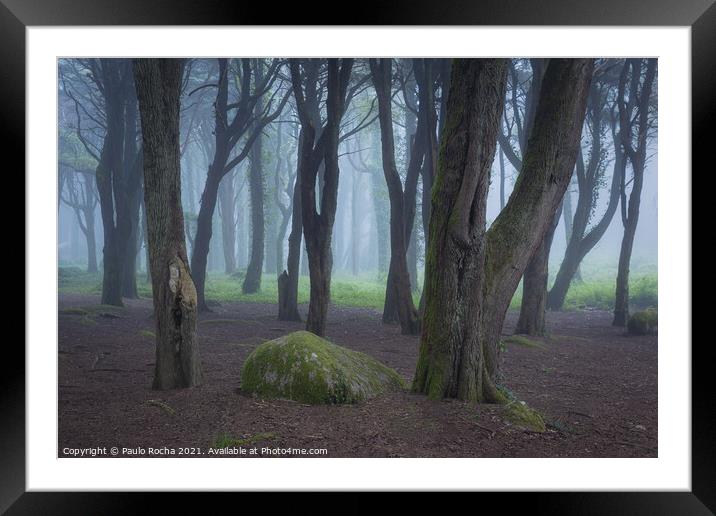 Woodland scenery with fog Framed Mounted Print by Paulo Rocha