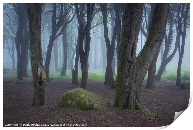 Woodland scenery with fog Print by Paulo Rocha