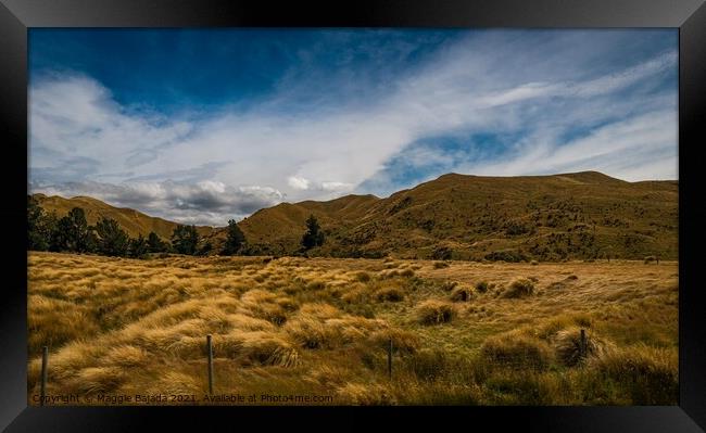 Picturesque of Panoramic scenic of New Zealand cou Framed Print by Maggie Bajada
