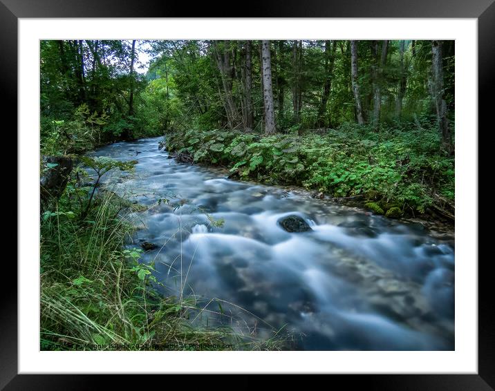 Beautiful Valley with smooth water flowing at Slov Framed Mounted Print by Maggie Bajada
