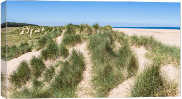 Sand dunes on Holkham beach Canvas Print by Jason Wells