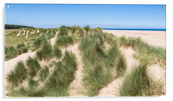 Sand dunes on Holkham beach Acrylic by Jason Wells