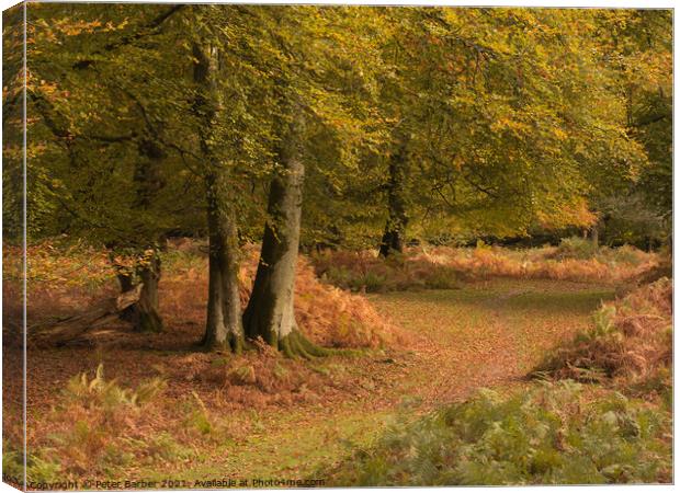 A woodland path in Autumn in the New Forest Canvas Print by Peter Barber