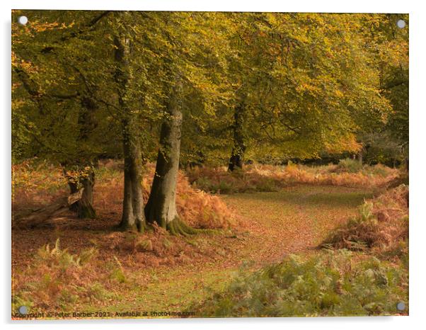 A woodland path in Autumn in the New Forest Acrylic by Peter Barber