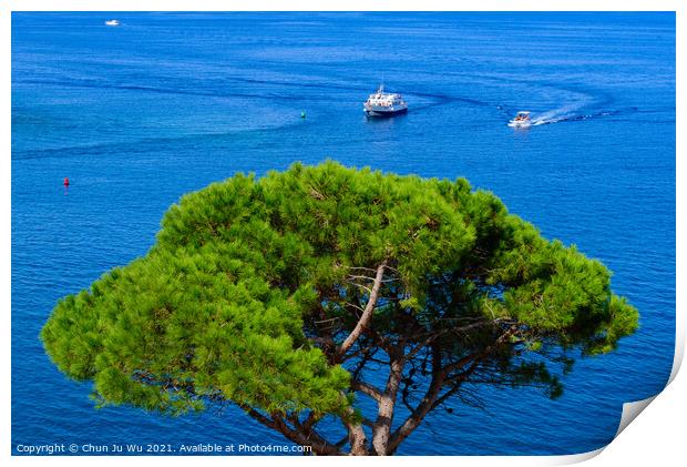 Boats sailing on Mediterranean sea with a tree at foreground in Collioure, France Print by Chun Ju Wu