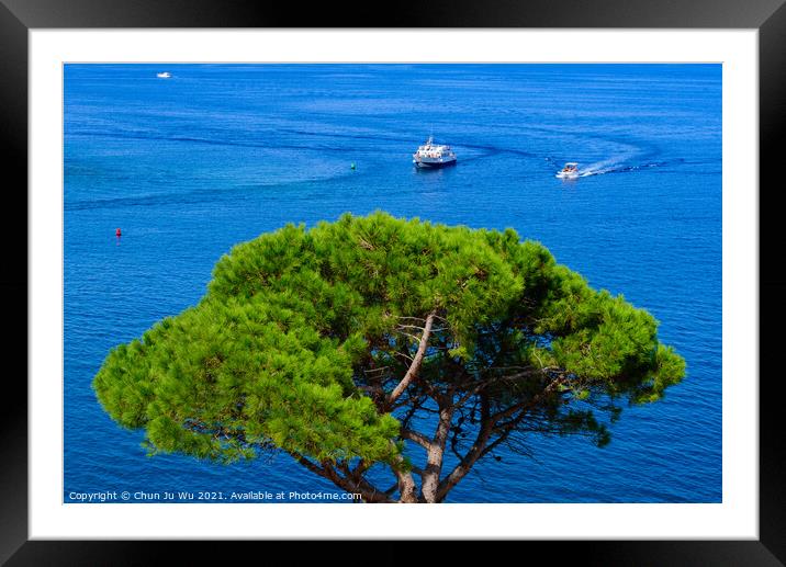Boats sailing on Mediterranean sea with a tree at foreground in Collioure, France Framed Mounted Print by Chun Ju Wu
