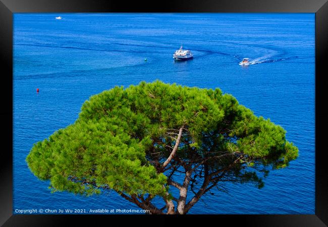 Boats sailing on Mediterranean sea with a tree at foreground in Collioure, France Framed Print by Chun Ju Wu