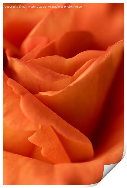 Apricot and  Orange rose Print by kathy white