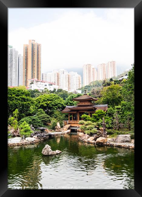 Nan Lian Gardens - Hong Kong Framed Print by Peter Greenway