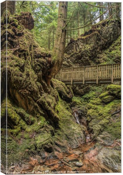 Crossing The Gorge Canvas Print by Ronnie Reffin