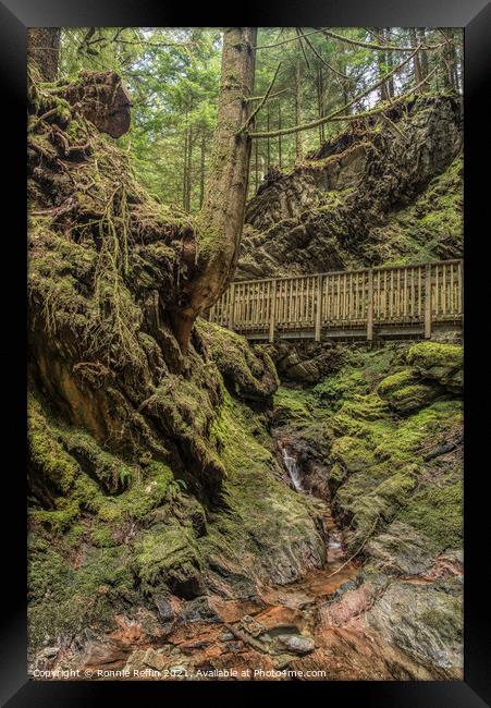 Crossing The Gorge Framed Print by Ronnie Reffin