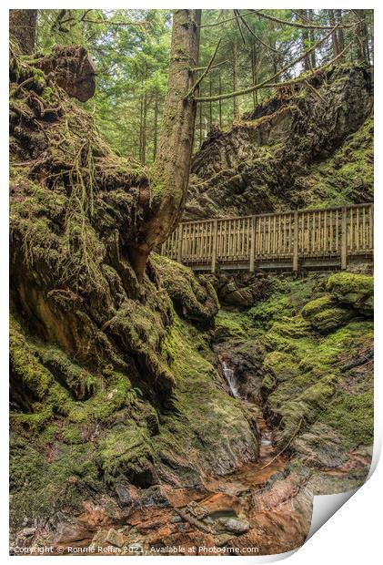 Crossing The Gorge Print by Ronnie Reffin