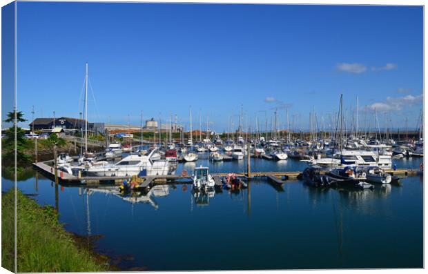 Troon marina residents Canvas Print by Allan Durward Photography
