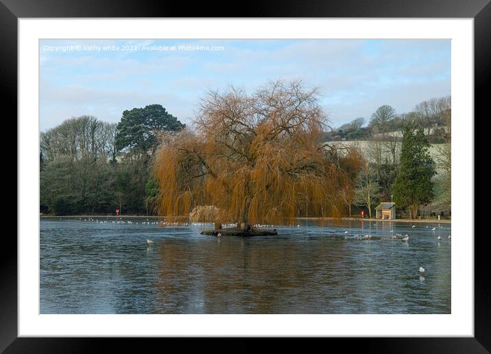 Helston cornwall, boating lake,old willow tree in  Framed Mounted Print by kathy white