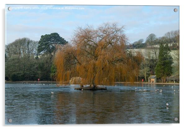 Helston cornwall, boating lake,old willow tree in  Acrylic by kathy white