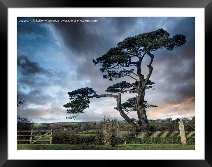 Helston Cornwall tree on the road to the lizard Framed Mounted Print by kathy white