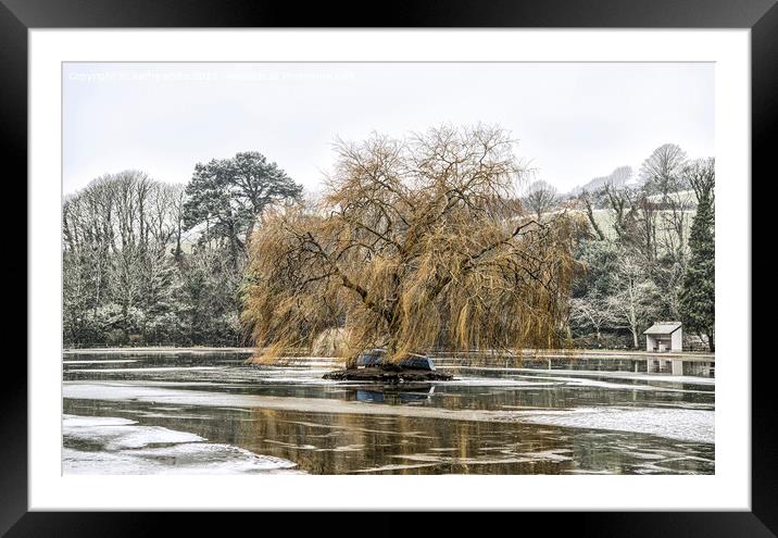 weeping willow   Framed Mounted Print by kathy white