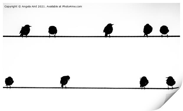The Starling Line. Print by Angela Aird