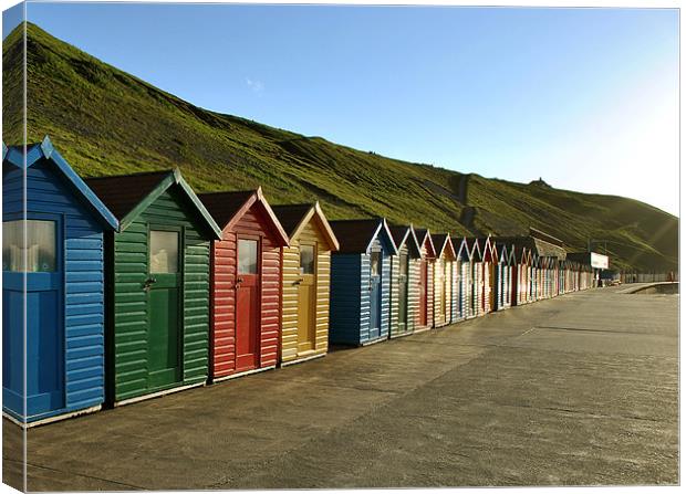 Beach Huts at Whitby Canvas Print by graham young