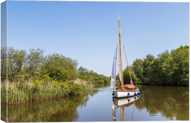 Sail boat on the Norfolk Broads Canvas Print by Jason Wells