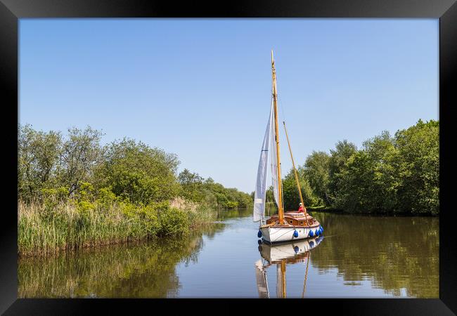 Sail boat on the Norfolk Broads Framed Print by Jason Wells