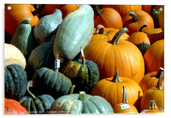 Pumpkins  Acrylic by Les Schofield