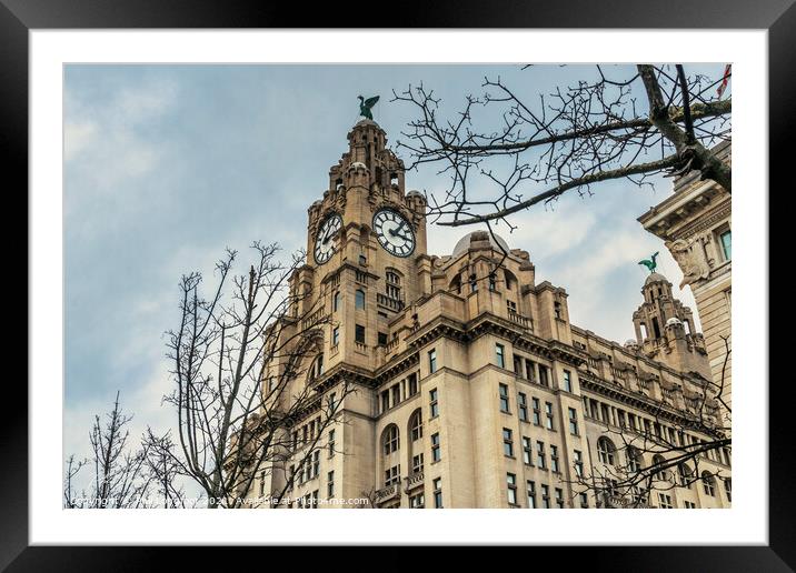 Royal Liver Building Liverpool  Framed Mounted Print by Phil Longfoot