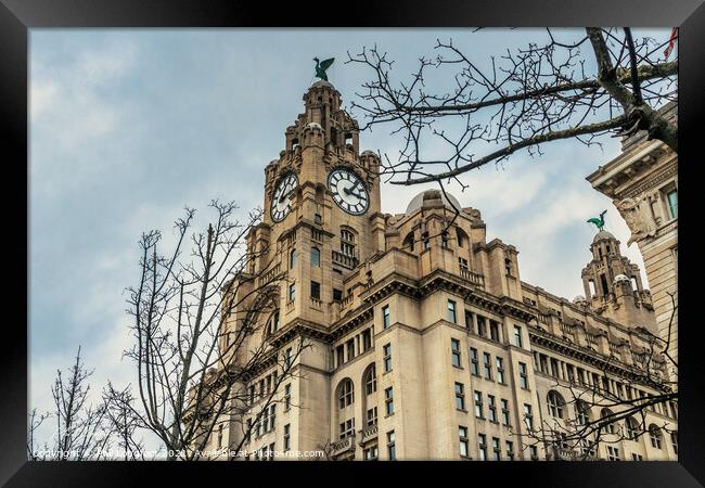 Royal Liver Building Liverpool  Framed Print by Phil Longfoot