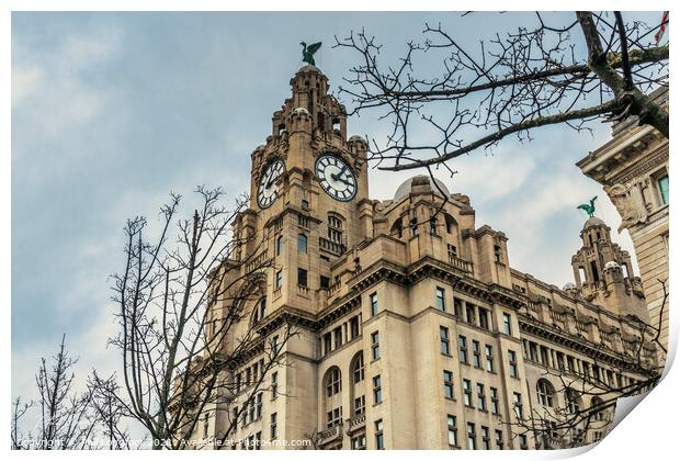 Royal Liver Building Liverpool  Print by Phil Longfoot