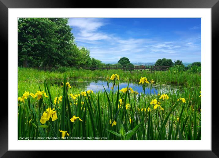 Havercroft Village Pond Framed Mounted Print by Alison Chambers