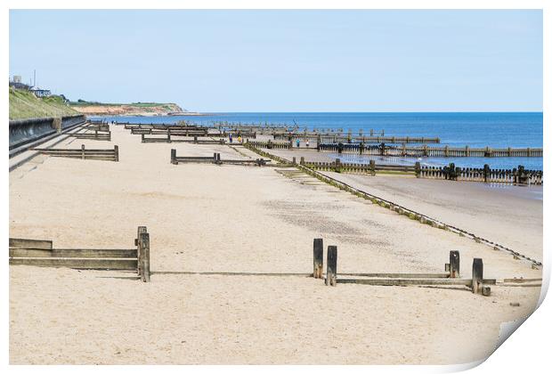 Wooden groynes line the beach at Cart Gap Print by Jason Wells
