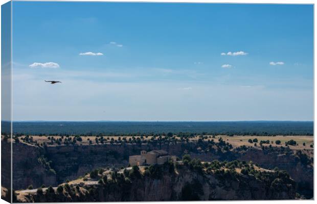 griffon vultures flying over the river Canvas Print by David Galindo