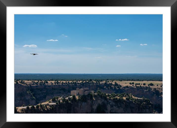 griffon vultures flying over the river Framed Mounted Print by David Galindo