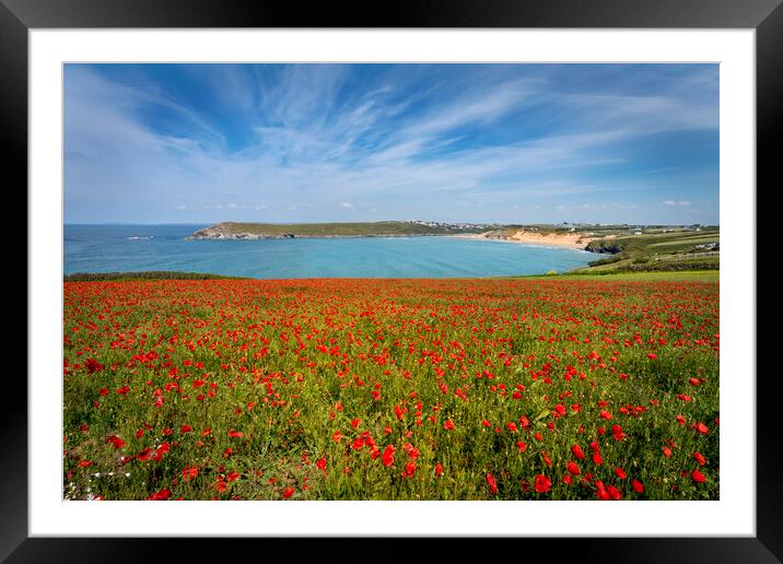 poppies at crantock and polly joke  cornwall Framed Mounted Print by Eddie John