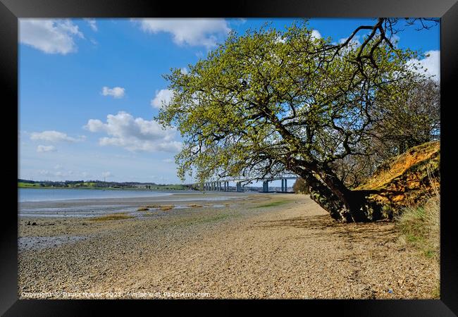  Low tide River Orwell Suffolk Framed Print by Diana Mower