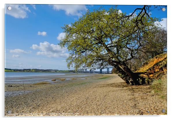  Low tide River Orwell Suffolk Acrylic by Diana Mower