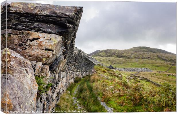 Overhanging Wall in Cwmystradllyn Snowdonia Canvas Print by Pearl Bucknall