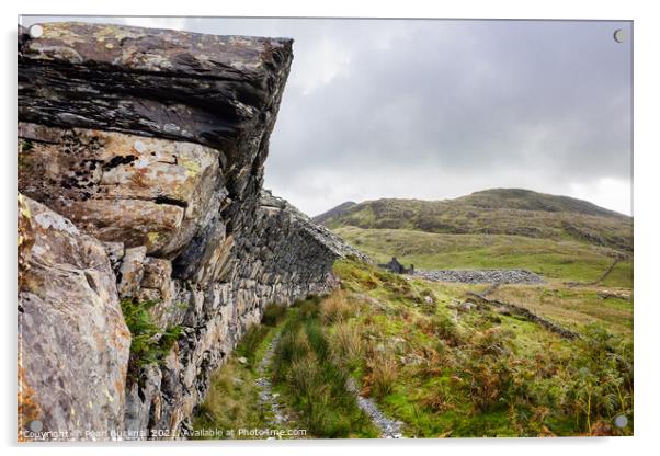 Overhanging Wall in Cwmystradllyn Snowdonia Acrylic by Pearl Bucknall