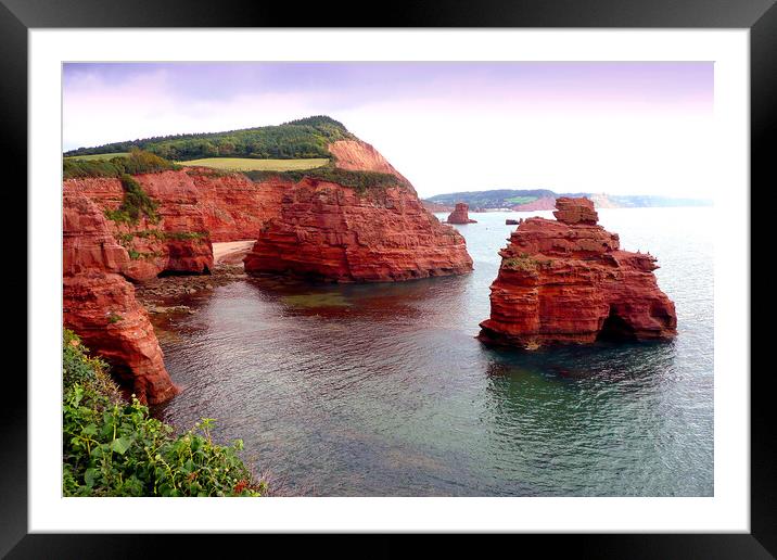 Ladram Bay Jurassic Coast Devon England Framed Mounted Print by Andy Evans Photos