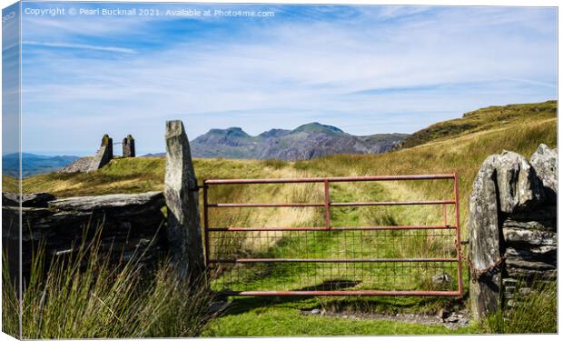 Country Track in Snowdonia Wales Canvas Print by Pearl Bucknall