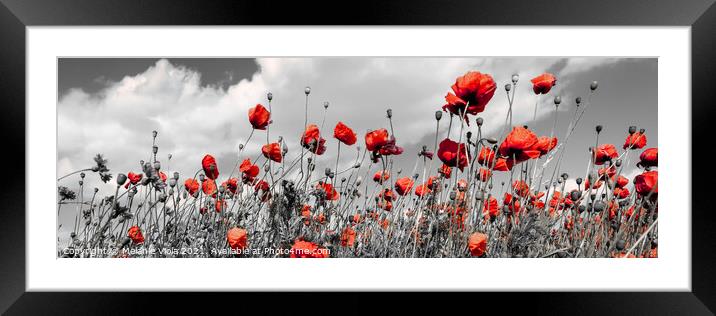 Field of poppies in colorkey Framed Mounted Print by Melanie Viola