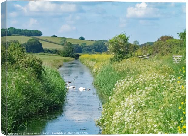 Royal Military Canal at Pett Level Sussex. Canvas Print by Mark Ward