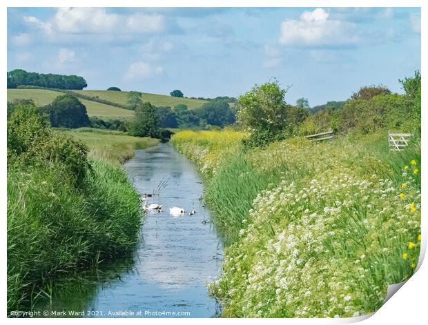 Royal Military Canal at Pett Level Sussex. Print by Mark Ward