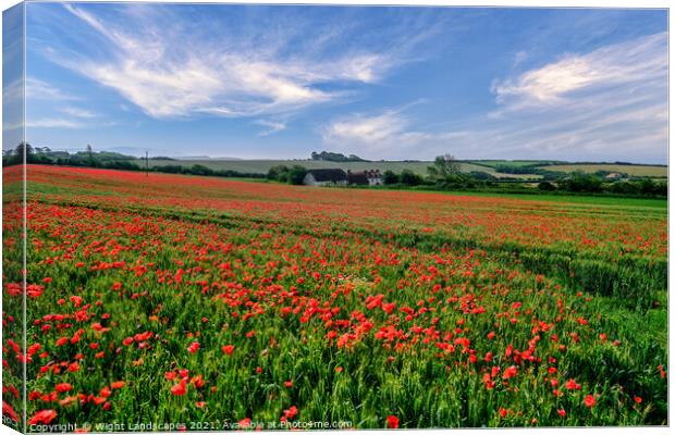 Isle Of Wight Poppies Canvas Print by Wight Landscapes